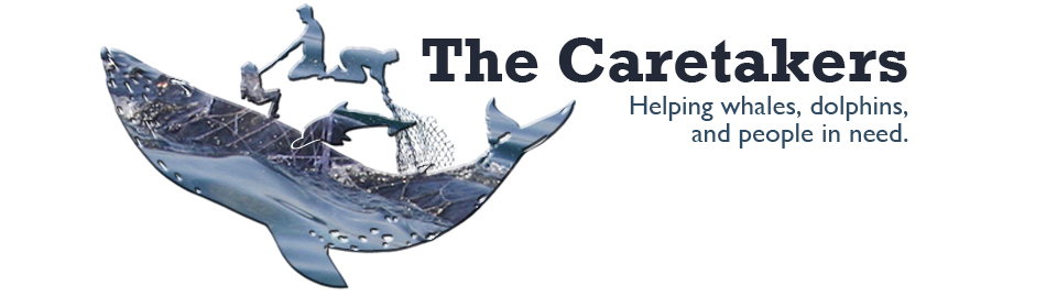 The Caretakers: Helping whales, dolphins, and people in need.